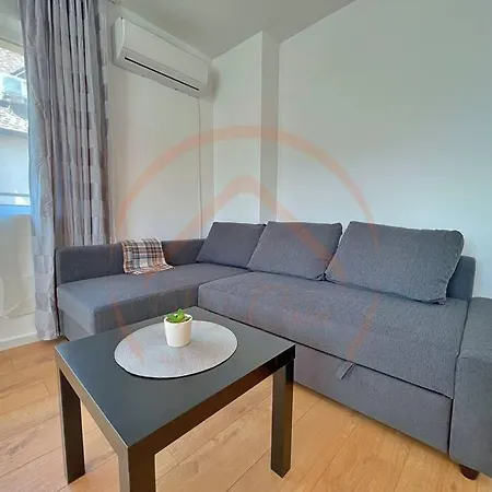 The Sunny Space Of Apartament *