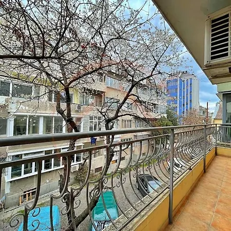 The Sunny Space Of Apartment